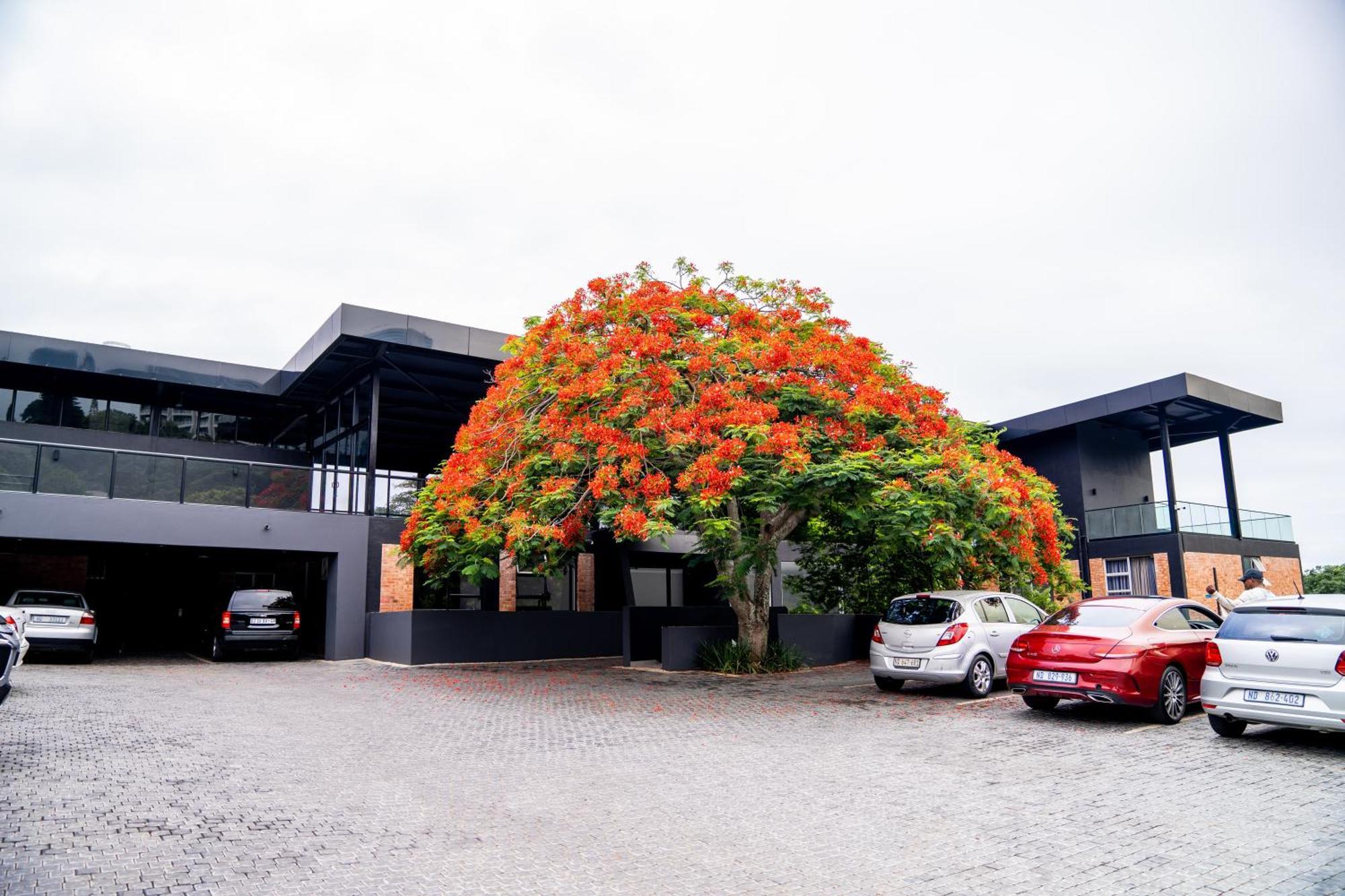 Zar Hotel Amanzimtoti Extérieur photo